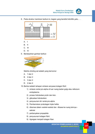 LISTRIK untuk SMP
KEGIATAN PEMBELAJARAN 3: BIOSEL
KELOMPOK KOMPETENSI B
Modul Guru Pembelajar
Mata Pelajaran Biologi SMA
137
8. Pada struktur membran berikut ini, bagian yang bersifat hidrofilik yaitu . . .
A. I
B. II
C. III
D. IV
9. Berdasarkan gambar berikut:
Matriks dinding sel adalah yang bernomor
A. 1 dan 2
B. 2 dan 3
C. 3 dan 4
D. 2 dan 4
10. Berikut adalah tahapan sintesis senyawa kolagen fibril:
1) sintesis rantai pro-alpha di luar ruang badan golgi atau retikulum
endoplasma.
2) proses hidroksilasi prolin dan lisin.
3) glikosilasi hidroksilisin
4) penyusunan diri rantai pro-alpha
5) Pembentukan prokolagen triple heliks
6) dikemas dalam vesikel-vesikel dan dibawa ke ruang lainnya -
sekresi
7) perbanyakan propeptida
8) penyusunan kolagen fibril.
9) Agregasi menjadi kolagen fiber.
 