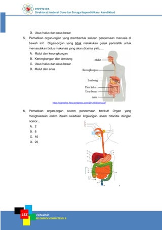 PPPPTK IPA
Direktorat Jenderal Guru dan Tenaga Kependidikan - Kemdikbud
EVALUASI
KELOMPOK KOMPETENSI B
158
D. Usus halus dan usus besar
5. Perhatikan organ-organ yang membentuk saluran pencernaan manusia di
bawah ini! Organ-organ yang tidak melakukan gerak peristaltik untuk
memasukkan bolus makanan yang akan dicerna yaitu....
A. Mulut dan kerongkongan
B. Kerongkongan dan lambung
C. Usus halus dan usus besar
D. Mulut dan anus
https://wandylee.files.wordpress.com/2012/03/cerna.gif
6. Perhatikan organ-organ sistem pencernaan berikut! Organ yang
menghasilkan enzim dalam keadaan lingkungan asam ditandai dengan
nomor...
A. 2
B. 8
C. 10
D. 20
 