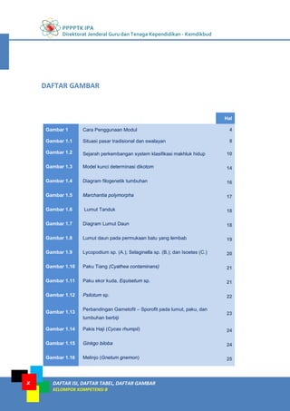 PPPPTK IPA
Direktorat Jenderal Guru dan Tenaga Kependidikan - Kemdikbud
DAFTAR ISI, DAFTAR TABEL, DAFTAR GAMBAR
KELOMPOK KOMPETENSI B
x
Hal
Gambar 1 Cara Penggunaan Modul 4
Gambar 1.1 Situasi pasar tradisional dan swalayan 8
Gambar 1.2 Sejarah perkembangan system klasifikasi makhluk hidup 10
Gambar 1.3 Model kunci determinasi dikotom 14
Gambar 1.4 Diagram filogenetik tumbuhan 16
Gambar 1.5 Marchantia polymorpha 17
Gambar 1.6 Lumut Tanduk 18
Gambar 1.7 Diagram Lumut Daun 18
Gambar 1.8 Lumut daun pada permukaan batu yang lembab 19
Gambar 1.9 Lycopodium sp. (A.); Selaginella sp. (B.); dan Isoetes (C.) 20
Gambar 1.10 Paku Tiang (Cyathea contaminans) 21
Gambar 1.11 Paku ekor kuda, Equisetum sp. 21
Gambar 1.12 Psilotum sp. 22
Gambar 1.13
Perbandingan Gametofit – Sporofit pada lumut, paku, dan
tumbuhan berbiji
23
Gambar 1.14 Pakis Haji (Cycas rhumpii) 24
Gambar 1.15 Ginkgo biloba 24
Gambar 1.16 Melinjo (Gnetum gnemon) 25
DAFTAR GAMBAR
 