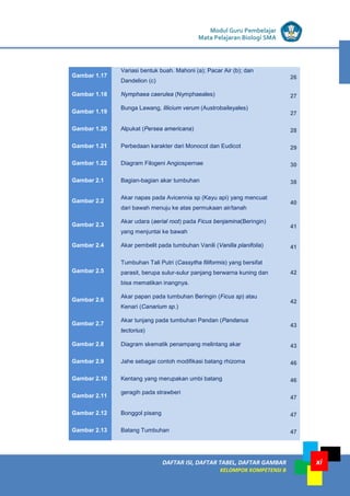 LISTRIK untuk SMP
DAFTAR ISI, DAFTAR TABEL, DAFTAR GAMBAR
KELOMPOK KOMPETENSI B
xi
Modul Guru Pembelajar
Mata Pelajaran Biologi SMA
Gambar 1.17
Variasi bentuk buah. Mahoni (a); Pacar Air (b); dan
Dandelion (c)
26
Gambar 1.18 Nymphaea caerulea (Nymphaeales) 27
Gambar 1.19
Bunga Lawang, Illicium verum (Austrobaileyales)
27
Gambar 1.20 Alpukat (Persea americana) 28
Gambar 1.21 Perbedaan karakter dari Monocot dan Eudicot 29
Gambar 1.22 Diagram Filogeni Angiospernae 30
Gambar 2.1 Bagian-bagian akar tumbuhan 38
Gambar 2.2
Akar napas pada Avicennia sp (Kayu api) yang mencuat
dari bawah menuju ke atas permukaan air/tanah
40
Gambar 2.3
Akar udara (aerial root) pada Ficus benjamina(Beringin)
yang menjuntai ke bawah
41
Gambar 2.4 Akar pembelit pada tumbuhan Vanili (Vanilla planifolia) 41
Gambar 2.5
Tumbuhan Tali Putri (Cassytha filiformis) yang bersifat
parasit, berupa sulur-sulur panjang berwarna kuning dan
bisa mematikan inangnya.
42
Gambar 2.6
Akar papan pada tumbuhan Beringin (Ficus sp) atau
Kenari (Canarium sp.)
42
Gambar 2.7
Akar tunjang pada tumbuhan Pandan (Pandanus
tectorius)
43
Gambar 2.8 Diagram skematik penampang melintang akar 43
Gambar 2.9 Jahe sebagai contoh modifikasi batang rhizoma 46
Gambar 2.10 Kentang yang merupakan umbi batang 46
Gambar 2.11
geragih pada strawberi
47
Gambar 2.12 Bonggol pisang 47
Gambar 2.13 Batang Tumbuhan 47
 