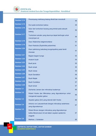 PPPPTK IPA
Direktorat Jenderal Guru dan Tenaga Kependidikan - Kemdikbud
DAFTAR ISI, DAFTAR TABEL, DAFTAR GAMBAR
KELOMPOK KOMPETENSI B
xii
Gambar 2.14
Penampang melintang batang dikotil dan monokotil
48
Gambar 2.15
Duri pada tumbuhan kaktus 49
Gambar 2.16
Sulur dari tumbuhan kacang yang terkait pada sebuah
batang
50
Gambar 2.17
Tumbuhan sukulen yang daunnya dapat berfungsi untuk
menyimpan air
50
Gambar 2.18
Daun Kalanchoe daigremontiana 51
Gambar 2.19
Daun Kastuba (Euphorbia pulcerrima) 51
Gambar 2.20
Daun pelindung (seludang bunga/spatha) pada famili
Araceae
51
Gambar 2.21
Bagian-bagian bunga 53
Gambar 2.22
Anatomi buah 54
Gambar 2.23
Buah jeruk 55
Gambar 2.24
Buah sirsak 55
Gambar 2.25
Buah nanas 55
Gambar 2.26
Buah Dandelion 56
Gambar 2.27
Buah Maple 56
Gambar 2.28
Buah Cocklebur 57
Gambar 2.29
Buah tomat 57
Gambar 3.1
Zacharias Jansen dan mikroskop buatannya 66
Gambar 3.2
Robert Hooke dan Mikroskop yang digunakannya untuk
mengamati sayatan gabus
66
Gambar 3.3
Sayatan gabus (kiri) yang diamati oleh Hooke 66
Gambar 3.4
Antonio von Leeuwenhoek dengan mikroskop sederhana
yang digunakannya
67
Gambar 3.5
Robert Brown dengan mikroskop yang digunakannya
ketika Menemukan inti sel dalam sayatan epidermis
anggrek
67
Gambar 3.6
Mathias J. Schleiden 68
 