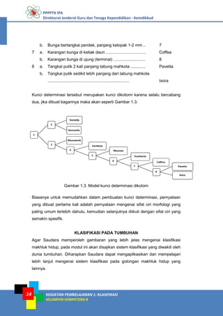 PPPPTK IPA
Direktorat Jenderal Guru dan Tenaga Kependidikan - Kemdikbud
KEGIATAN PEMBELAJARAN 1: KLASIFIKASI
KELOMPOK KOMPETENSI B
14
b. Bunga bertangkai pendek, panjang kelopak 1-2 mm .. 7
7 a. Karangan bunga di ketiak daun ................................... Coffea
b. Karangan bunga di ujung (terminal) ............................ 8
8 a. Tangkai putik 2 kali panjang tabung mahkota ............. Pavetta
b. Tangkai putik sedikit lebih panjang dari tabung mahkota
....................................................................... Ixora
Kunci determinasi tersebut merupakan kunci dikotomi karena selalu bercabang
dua, jika dibuat bagannya maka akan seperti Gambar 1.3.
Gambar 1.3. Model kunci determinasi dikotom
Biasanya untuk memudahkan dalam pembuatan kunci determinasi, pernyataan
yang dibuat pertama kali adalah pernyataan mengenai sifat ciri morfologi yang
paling umum terlebih dahulu, kemudian selanjutnya diikuti dengan sifat ciri yang
semakin spesifik.
KLASIFIKASI PADA TUMBUHAN
Agar Saudara memperoleh gambaran yang lebih jelas mengenai klasifikasi
makhluk hidup, pada modul ini akan disajikan sistem klasifikasi yang diwakili oleh
dunia tumbuhan. Diharapkan Saudara dapat mengaplikasikan dan mempelajari
lebih lanjut mengenai sistem klasifikasi pada golongan makhluk hidup yang
lainnya.
 