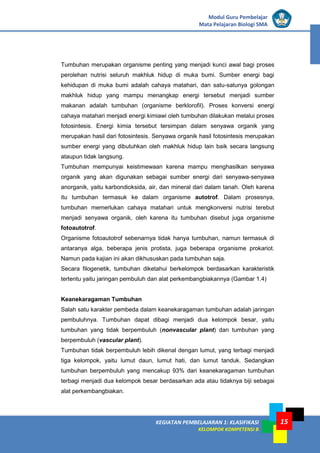 KEGIATAN PEMBELAJARAN 1: KLASIFIKASI
KELOMPOK KOMPETENSI B
Modul Guru Pembelajar
Mata Pelajaran Biologi SMA
15
Tumbuhan merupakan organisme penting yang menjadi kunci awal bagi proses
perolehan nutrisi seluruh makhluk hidup di muka bumi. Sumber energi bagi
kehidupan di muka bumi adalah cahaya matahari, dan satu-satunya golongan
makhluk hidup yang mampu menangkap energi tersebut menjadi sumber
makanan adalah tumbuhan (organisme berklorofil). Proses konversi energi
cahaya matahari menjadi energi kimiawi oleh tumbuhan dilakukan melalui proses
fotosintesis. Energi kimia tersebut tersimpan dalam senyawa organik yang
merupakan hasil dari fotosintesis. Senyawa organik hasil fotosintesis merupakan
sumber energi yang dibutuhkan oleh makhluk hidup lain baik secara langsung
ataupun tidak langsung.
Tumbuhan mempunyai keistimewaan karena mampu menghasilkan senyawa
organik yang akan digunakan sebagai sumber energi dari senyawa-senyawa
anorganik, yaitu karbondioksida, air, dan mineral dari dalam tanah. Oleh karena
itu tumbuhan termasuk ke dalam organisme autotrof. Dalam prosesnya,
tumbuhan memerlukan cahaya matahari untuk mengkonversi nutrisi terebut
menjadi senyawa organik, oleh karena itu tumbuhan disebut juga organisme
fotoautotrof.
Organisme fotoautotrof sebenarnya tidak hanya tumbuhan, namun termasuk di
antaranya alga, beberapa jenis protista, juga beberapa organisme prokariot.
Namun pada kajian ini akan dikhususkan pada tumbuhan saja.
Secara filogenetik, tumbuhan diketahui berkelompok berdasarkan karakteristik
tertentu yaitu jaringan pembuluh dan alat perkembangbiakannya (Gambar 1.4)
Keanekaragaman Tumbuhan
Salah satu karakter pembeda dalam keanekaragaman tumbuhan adalah jaringan
pembuluhnya. Tumbuhan dapat dibagi menjadi dua kelompok besar, yaitu
tumbuhan yang tidak berpembuluh (nonvascular plant) dan tumbuhan yang
berpembuluh (vascular plant).
Tumbuhan tidak berpembuluh lebih dikenal dengan lumut, yang terbagi menjadi
tiga kelompok, yaitu lumut daun, lumut hati, dan lumut tanduk. Sedangkan
tumbuhan berpembuluh yang mencakup 93% dari keanekaragaman tumbuhan
terbagi menjadi dua kelompok besar berdasarkan ada atau tidaknya biji sebagai
alat perkembangbiakan.
 
