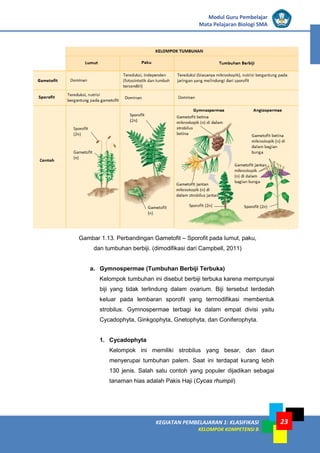 KEGIATAN PEMBELAJARAN 1: KLASIFIKASI
KELOMPOK KOMPETENSI B
Modul Guru Pembelajar
Mata Pelajaran Biologi SMA
23
Gambar 1.13. Perbandingan Gametofit – Sporofit pada lumut, paku,
dan tumbuhan berbiji. (dimodifikasi dari Campbell, 2011)
a. Gymnospermae (Tumbuhan Berbiji Terbuka)
Kelompok tumbuhan ini disebut berbiji terbuka karena mempunyai
biji yang tidak terlindung dalam ovarium. Biji tersebut terdedah
keluar pada lembaran sporofil yang termodifikasi membentuk
strobilus. Gymnospermae terbagi ke dalam empat divisi yaitu
Cycadophyta, Ginkgophyta, Gnetophyta, dan Coniferophyta.
1. Cycadophyta
Kelompok ini memiliki strobilus yang besar, dan daun
menyerupai tumbuhan palem. Saat ini terdapat kurang lebih
130 jenis. Salah satu contoh yang populer dijadikan sebagai
tanaman hias adalah Pakis Haji (Cycas rhumpii)
 