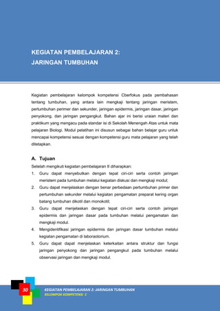 KEGIATAN PEMBELAJARAN 2: JARINGAN TUMBUHAN
KELOMPOK KOMPETENSI C
30
Kegiatan pembelajaran kelompok kompetensi Cberfokus pada pembahasan
tentang tumbuhan, yang antara lain mengkaji tentang jaringan meristem,
pertumbuhan perimer dan sekunder, jaringan epidermis, jaringan dasar, jaringan
penyokong, dan jaringan pengangkut. Bahan ajar ini berisi uraian materi dan
praktikum yang mengacu pada standar isi di Sekolah Menengah Atas untuk mata
pelajaran Biologi. Modul pelatihan ini disusun sebagai bahan belajar guru untuk
mencapai kompetensi sesuai dengan kompetensi guru mata pelajaran yang telah
ditetapkan.
A. Tujuan
Setelah mengikuti kegiatan pembelajaran II diharapkan:
1. Guru dapat menyebutkan dengan tepat ciri-ciri serta contoh jaringan
meristem pada tumbuhan melalui kegiatan diskusi dan mengkaji modul;
2. Guru dapat menjelaskan dengan benar perbedaan pertumbuhan primer dan
pertumbuhan sekunder melalui kegiatan pengamatan preparat kering organ
batang tumbuhan dikotil dan monokotil;
3. Guru dapat menjelaskan dengan tepat ciri-ciri serta contoh jaringan
epidermis dan jaringan dasar pada tumbuhan melalui pengamatan dan
mengkaji modul.
4. Mengidentifikasi jaringan epidermis dan jaringan dasar tumbuhan melalui
kegiatan pengamatan di laboraotorium.
5. Guru dapat dapat menjelaskan keterkaitan antara struktur dan fungsi
jaringan penyokong dan jaringan pengangkut pada tumbuhan melalui
observasi jaringan dan mengkaji modul.
KEGIATAN PEMBELAJARAN 2:
JARINGAN TUMBUHAN
 