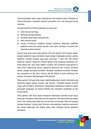 LISTRIK untuk SMP
KEGIATAN PEMBELAJARAN 2: JARINGAN TUMBUHAN
KELOMPOK KOMPETENSI C
Modul Guru Pembelajar
Mata Pembelajaran Biologi SMA
35
melindungi bagian dalam organ bersangkutan dari keadaan seperti hilangnya air
karena penguapan, kerusakan mekanik, perubahan suhu, dan hilangnya zat-zat
makanan.
Jaringan epidermis memiliki beberapa ciri antara lain :
1) terdiri dari sel-sel hidup;
2) berbentuk persegi panjang;
3) sel-selnya rapat tanpa ruang antarsel;
4) tidak memiliki klorofil;
5) mampu membentuk modifikasi jaringan epidermis. Beberapa modifikasi
epidermis antara lain adalah stomata, spina (duri), sel kipas, sel kersik, dan
trikomata (rambut-rambut).
Seperti yang Anda amati pada gambar 2.64 dan gambar 2.65 terdapat lapisan
jaringan epidermis yang membatasi organ dengan lingkungan luarnya. Lapisan
epidermis menjadi jaringan yang tipis (umumnya 1 lapis sel) dan karena
lokasinya tersebut, epidermis menjadi tempat untuk terjadinya pertukaran zat.
Pada batang dan daun (atau bagian manapun dari tumbuhan yang berada di
atas tanah) sebenarnya lapisan epidermis dilindungi oleh kutikula (senyawa
lemak) sebagai pelindung tambahan, terutama membantu tumbuhan menekan
laju penguapan air dari daun, batang, dan biji. Selain itu pula melindungi dari
patogen, kerusakan akibat gangguan fisik/mekanis.
Pada gambar 2.65 juga Anda dapat melihat keberadaan struktur trikomata yang
berbentuk seperti rambut, tonjolan, dan lain-lain. Trikomata tersebut memiliki
fungsi yang beragam, diantaranya memperbesar kemampuan epidermis dalam
mencegah penguapan air secara berlebih dan membantu menghisap air dan
mineral tanah.
Pada gambar 2.66 Anda dapat mengamati keberadaan stomata (mulut daun)
yang juga merupakan diferensiasi dari sel epidermis. Stomata strukturnya seperti
mulut, satu lubang yang diapit dua sel bernama sel penjaga. Pada sel penjaga
terdapat kloroplas. Lubang pada Stomata memungkinkan terjadinya pertukaran
gas antara lingkungan dan bagian dalam daun sekaligus tempat terjadinya
transpirasi.
 