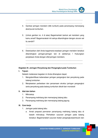LISTRIK untuk SMP
KEGIATAN PEMBELAJARAN 2: JARINGAN TUMBUHAN
KELOMPOK KOMPETENSI C
Modul Guru Pembelajar
Mata Pembelajaran Biologi SMA
47
.................................................................................................................
................................................................................................................
4. Gambar jaringan meristem (titik tumbuh) pada penampang memanjang
akar/pucuk tumbuhan.
5. (Untuk gambar no. 4 di atas) Bagaimankah bentuk sel meristem yang
kamu amati? Bagaimanakah inti selnya dibandingkan dengan ukuran sel
itu sendiri?
.................................................................................................................
.................................................................................................................
6. Deskripsikan oleh Anda bagaimana keadaan jaringan meristem tersebut
dibandingkan jaringan-jaringan lain di sekitarnya ! Hubungkan
penjelasan Anda dengan sifat jaringan meristem.
.................................................................................................................
.................................................................................................................
Kegiatan III. Jaringan Penyokong dan Pengangkut pada Tumbuhan
I. Tujuan
Setelah melakukan kegiatan ini Anda diharapkan dapat:
1. Mengidentifikasi keberadaan jaringan pengangkut dan penyokong pada
batang tumbuhan.
2. Menjelaskan perbedaan dan persamaan struktur jaringan pengangkut
serta penyokong pada batang tumbuhan dikotil dan monokotil
II. Alat dan bahan
1. Mikroskop
2. Penampang melintang dan memanjang batang labu
3. Penampang melintang dan memanjang batang jagung
III. Cara kerja
1. Jaringan pada batang labu
a. Amati preparat permanen penampang melintang batang labu di
bawah mikroskop. Perhatikan susunan jaringan pada batang
tersebut. Bagaimanakah susunan ikatan pengangkut/pembuluh dan
 