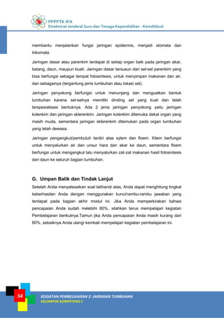 PPPPTK IPA
Direktorat Jenderal Guru dan Tenaga Kependidikan - Kemdikbud
KEGIATAN PEMBELAJARAN 2: JARINGAN TUMBUHAN
KELOMPOK KOMPETENSI C
54
membantu menjalankan fungsi jaringan epidermis, menjadi stomata dan
trikomata.
Jaringan dasar atau parenkim terdapat di setiap organ baik pada jaringan akar,
batang, daun, maupun buah. Jaringan dasar tersusun dari sel-sel parenkim yang
bisa berfungsi sebagai tempat fotosintesis, untuk menyimpan makanan dan air,
dan sebagainya (tergantung jenis tumbuhan atau lokasi sel).
Jaringan penyokong berfungsi untuk menunjang dan menguatkan bentuk
tumbuhan karena sel-selnya memiliki dinding sel yang kuat dan telah
terspesialisasi bentuknya. Ada 2 jenis jaringan penyokong yaitu jaringan
kolenkim dan jaringan sklerenkim. Jaringan kolenkim ditemuka dekat organ yang
masih muda, sementara jaringan sklerenkim ditemukan pada organ tumbuhan
yang telah dewasa.
Jaringan pengangkut/pembuluh terdiri atas xylem dan floem. Xilem berfungsi
untuk menyalurkan air dan unsur hara dari akar ke daun, sementara floem
berfungsi untuk mengangkut lalu menyalurkan zat-zat makanan hasil fotosintesis
dari daun ke seluruh bagian tumbuhan.
G. Umpan Balik dan Tindak Lanjut
Setelah Anda menyelesaikan soal latihandi atas, Anda dapat menghitung tingkat
keberhasilan Anda dengan menggunakan kunci/rambu-rambu jawaban yang
terdapat pada bagian akhir modul ini. Jika Anda memperkirakan bahwa
pencapaian Anda sudah melebihi 80%, silahkan terus mempelajari kegiatan
Pembelajaran berikutnya.Tamun jika Anda pencapaian Anda masih kurang dari
80%, sebaiknya Anda ulangi kembali mempelajari kegiatan pembelajaran ini.
 