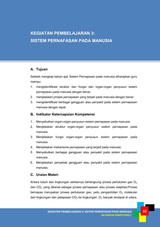 KEGIATAN PEMBELAJARAN 3: SISTEM PERNAFASAN PADA MANUSIA
KELOMPOK KOMPETENSI C
55
A. Tujuan
Setelah mengkaji bahan ajar Sistem Pernapasan pada manusia diharapkan guru
mampu:
1. mengidentifikasi struktur dan fungsi dari organ-organ penyusun sistem
pernapasan pada manusia dengan benar.
2. menjelaskan proses pernapasan yang terjadi pada manusia dengan benar.
3. mengidentifikasi berbagai gangguan atau penyakit pada sistem pernapasan
manusia dengan tepat.
B. Indikator Ketercapaian Kompetensi
1. Menyebutkan organ-organ penyusun sistem pernapasan pada manusia.
2. Menjelaskan struktur organ-organ penyusun sistem pernapasan pada
manusia.
3. Menjelaskan fungsi organ-organ penyusun sistem pernapasan pada
manusia.
4. Menjelaskan mekanisme pernapasan yang terjadi pada manusia.
5. Menyebutkan berbagai gangguan atau penyakit pada sistem pernapasan
manusia.
6. Menjelaskan penyebab gangguan atau penyakit pada sistem pernapasan
manusia.
C. Uraian Materi
Antara tubuh dan lingkungan sekitarnya berlangsung proses pertukaran gas O2
dan CO2 yang dikenal sebagai proses pernapasan atau proses respirasi.Proses
bernapas merupakan proses pertukaran gas, yaitu pengambilan O2 molekuler
dari lingkungan dan pelepasan CO2 ke lingkungan. O2 banyak terdapat di udara,
KEGIATAN PEMBELAJARAN 3:
SISTEM PERNAFASAN PADA MANUSIA
 