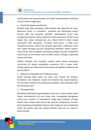 PPPPTK IPA
Direktorat Jenderal Guru dan Tenaga Kependidikan - Kemdikbud
KEGIATAN PEMBELAJARAN 3: SISTEM PERNAFASAN PADA MANUSIA
KELOMPOK KOMPETENSI C
60
berdifusi dalam arah yang berlawanan, dari kapiler melintasi epitelium alveoli dan
menuju ke dalam rongga udara.
a. Kontrol Pernapasan pada Manusia
Sebagian besar waktu pernapasan Anda diregulasi oleh mekanisme tak sadar.
Mekanisme kontrol, ini memastikan pertukaran gas terkoordinasi dengan
sirkulasi darah dan kebutuhan metabolik. Jejaring-jejaring neuron yang
meregulasi pernapasan, disebut pusat-pusat kontrol pernapasan, terletak di dua
wilayah otak, medula oblongata dan pons. Sirkuit kontrol di dalam medula
menentukan ritme pernapasan, sementara neuron-neuron di dalam pons
meregulasi temponya. Ketika Anda bernapas dalam-dalam, mekanisme umpan
balik negatif mencegah paru-paru mengembang berlebihan. Selama inspirasi,
sensor-sensor yang mendeteksi perentangan jaringan paru-paru mengirimkan
impuls-impuls ke sirkuit-sirkuit kontrol di dalam medula, sehingga menghambat
inspirasi lebih lanjut.
Aktivitas metabolik yang meningkat, misalnya terjadi selama berolahraga,
menurunkan pH dengan meningkatkan konsentrasi CO2 di dalam darah.
Sebagai responsnya, sirkuit-sirkuit kontrol medula meningkatkan kedalaman dan
laju pernapasan.
b. Mekanisme Pengambilan dan Pengeluaran Udara
Proses bernapas selalu terjadi dua siklus, yaitu inspirasi dan ekspirasi.
Berdasarkan cara melakukan inspirasi dan ekspirasi serta tempat terjadinya,
manusia dapat melakukan dua mekanisme pernapasan, yaitu pernapasan dada
dan pernapasan perut.
1) Pernapasan Dada
Pernapasan dada disebut juga pernapasan tulang rusuk. Proses inspirasi diawali
dengan berkontraksinya otot antar tulang rusuk, menyebabkan terangkatnya
tulang rusuk. Keadaan ini menyebabkan rongga dada membesar sehingga
tekanan udara di dalam dada menurun dan paru-paru mengembang. Paru-paru
yang mengembang menyebabkan tekanan udara rongga paru-paru menjadi lebih
rendah dari tekanan udara luar. Dengan demikian udara dari luar masuk ke
dalam paru-paru.
 