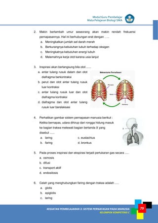 LISTRIK untuk SMP
KEGIATAN PEMBELAJARAN 3: SISTEM PERNAFASAN PADA MANUSIA
KELOMPOK KOMPETENSI C
Modul Guru Pembelajar
Mata Pelajaran Biologi SMA
79
2. Makin bertambah umur seseorang akan makin rendah frekuensi
pernapasannya. Hal ini berhubungan erat dengan …..
a. Meningkatkan jumlah sel darah merah
b. Berkurangnya kebutuhan tubuh terhadap oksigen
c. Meningkatnya kebutuhan energi tubuh
d. Melemahnya kerja otot karena usia lanjut
3. Inspirasi akan berlangsung bila otot ......
a. antar tulang rusuk dalam dan otot
diafragma berkontraksi
b. perut dan otot antar tulang rusuk
luar kontraksi
c. antar tulang rusuk luar dan otot
diafragma kontraksi
d. diafragma dan otot antar tulang
rusuk luar berelaksasi
4. Perhatikan gambar sistem pernapasan manusia berikut :
Ketika bernapas, udara dihirup dari rongga hidung masuk
ke bagian trakea melewati bagian bertanda X yang
disebut ......
a. laring c. eustachius
b. faring d. bronkus
5. Pada proses inspirasi dan ekspirasi terjadi pertukaran gas secara .....
a. osmosis
b. difusi
c. transport aktif
d. endositosis
6. Celah yang menghubungkan faring dengan trakea adalah .....
a. glotis
b. epiglotis
c. laring
 
