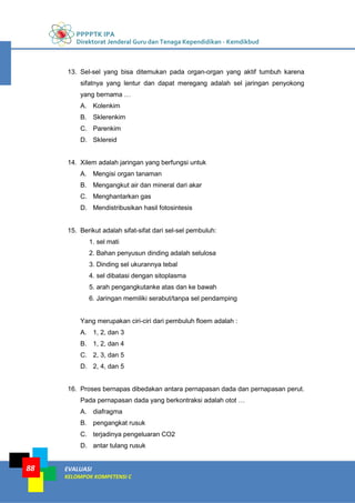 PPPPTK IPA
Direktorat Jenderal Guru dan Tenaga Kependidikan - Kemdikbud
EVALUASI
KELOMPOK KOMPETENSI C
88
13. Sel-sel yang bisa ditemukan pada organ-organ yang aktif tumbuh karena
sifatnya yang lentur dan dapat meregang adalah sel jaringan penyokong
yang bernama …
A. Kolenkim
B. Sklerenkim
C. Parenkim
D. Sklereid
14. Xilem adalah jaringan yang berfungsi untuk
A. Mengisi organ tanaman
B. Mengangkut air dan mineral dari akar
C. Menghantarkan gas
D. Mendistribusikan hasil fotosintesis
15. Berikut adalah sifat-sifat dari sel-sel pembuluh:
1. sel mati
2. Bahan penyusun dinding adalah selulosa
3. Dinding sel ukurannya tebal
4. sel dibatasi dengan sitoplasma
5. arah pengangkutanke atas dan ke bawah
6. Jaringan memiliki serabut/tanpa sel pendamping
Yang merupakan ciri-ciri dari pembuluh floem adalah :
A. 1, 2, dan 3
B. 1, 2, dan 4
C. 2, 3, dan 5
D. 2, 4, dan 5
16. Proses bernapas dibedakan antara pernapasan dada dan pernapasan perut.
Pada pernapasan dada yang berkontraksi adalah otot …
A. diafragma
B. pengangkat rusuk
C. terjadinya pengeluaran CO2
D. antar tulang rusuk
 