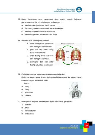 LISTRIK untuk SMP
EVALUASI
KELOMPOK KOMPETENSI C
Modul Guru Pembelajar
Mata Pelajaran Biologi SMA
89
17. Makin bertambah umur seseorang akan makin rendah frekuensi
pernapasannya. Hal ini berhubungan erat dengan …..
A. Meningkatkan jumlah sel darah merah
B. Berkurangnya kebutuhan tubuh terhadap oksigen
C. Meningkatnya kebutuhan energi tubuh
D. Melemahnya kerja otot karena usia lanjut
18. Inspirasi akan berlangsung bila otot ......
A. antar tulang rusuk dalam dan
otot diafragma berkontraksi
B. perut dan otot antar tulang
rusuk luar kontraksi
C. antar tulang rusuk luar dan
otot diafragma kontraksi
D. diafragma dan otot antar
tulang rusuk luar berelaksasi
19. Perhatikan gambar sistem pernapasan manusia berikut:
Ketika bernapas, udara dihirup dari rongga hidung masuk ke bagian trakea
melewati bagian bertanda X yang
disebut ......
A. laring .
B. faring
C. eustachius
D. bronkus
20. Pada proses inspirasi dan ekspirasi terjadi pertukaran gas secara .....
A. osmosis
B. difusi
C. transport aktif
D. endositosis
 