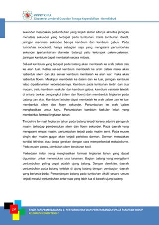 PPPPTK IPA
Direktorat Jenderal Guru dan Tenaga Kependidikan - Kemdikbud
KEGIATAN PEMBELAJARAN 1: PERTUMBUHAN DAN PERKEMBANGAN PADA MAKHLUK HIDUP
KELOMPOK KOMPETENSI C
14
sekunder merupakan pertumbuhan yang terjadi akibat adanya aktivitas jaringan
meristem sekunder yang terdapat pada tumbuhan. Pada tumbuhan dikotil,
jaringan meristem sekunder berupa kambium dan kambium gabus. Pada
tumbuhan monokotil, hanya sebagian saja yang mengalami pertumbuhan
sekunder (pertambahan diameter batang) yaitu kelompok palem-paleman.
Jaringan kambium dapat membelah secara mitosis.
Sel-sel kambium yang tedapat pada batang akan membelah ke arah dalam dan
ke arah luar. Ketika sel-sel kambium membelah ke arah dalam maka akan
terbentuk xilem dan jika sel-sel kambium membelah ke arah luar, maka akan
terbentuk floem. Meskipun membelah ke dalam dan ke luar, jaringan kambium
tetap dipertahankan keberadaannya. Kambium pada tumbuhan terdiri dari dua
macam, yaitu kambium vaskuler dan kambium gabus. kambium vaskuler teletak
di antara berkas pengangkut (xilem dan floem) dan membentuk lingkaran pada
batang dan akar. Kambium faskuler dapat membelah ke arah dalam dan ke luar
membentuk xilem dan floem sekunder. Pertumbuhan ke arah dalam
menghasilkan unsur kayu. Pertumbuhan kambium faskuler inilah yang
membentuk formasi lingkaran tahun.
Timbulnya formasi lingkaran tahun pada batang terjadi karena adanya pengaruh
musim terhadap pembentukan xilem dan floem sekunder. Pada daerah yang
mengalami empat musim, pertumbuhan terjadi pada musim semi. Pada musim
dingin dan musim gugur akan terjadi peristiwa dorman. Dorman merupakan
kondisi istirahat atau tanpa gerakan dengan cara memperlambat metabolisme.
Pada musim panas, pembuluh xilem berukuran kecil.
Perbedaan inilah yang menghasilkan formasi lingkaran tahun yang dapat
digunakan untuk menentukan usia tanaman. Bagian batang yang mengalami
pertumbuhan paling cepat adalah ujung batang. Dengan demikian, daerah
pertumbuhan pada batang terletak di ujung batang dengan pembagian daerah
yang berbeda-beda. Pemanjangan batang pada tumbuhan dikotil secara umum
terjadi melalui pertumbuhan antar ruas yang lebih tua di bawah ujung batang.
 