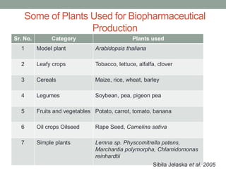 Some of Plants Used for Biopharmaceutical
Production
Sr. No. Category Plants used
1 Model plant Arabidopsis thaliana
2 Leafy crops Tobacco, lettuce, alfalfa, clover
3 Cereals Maize, rice, wheat, barley
4 Legumes Soybean, pea, pigeon pea
5 Fruits and vegetables Potato, carrot, tomato, banana
6 Oil crops Oilseed Rape Seed, Camelina sativa
7 Simple plants Lemna sp. Physcomitrella patens,
Marchantia polymorpha, Chlamidomonas
reinhardtii
Sibila Jelaska et al. 2005
 