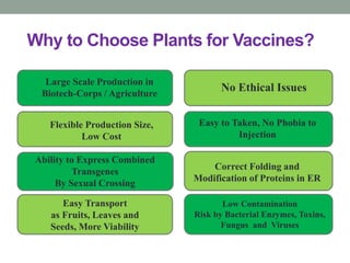 Why to Choose Plants for Vaccines?
No Ethical Issues
Ability to Express Combined
Transgenes
By Sexual Crossing
Flexible Production Size,
Low Cost
Large Scale Production in
Biotech-Corps / Agriculture
Easy to Taken, No Phobia to
Injection
Easy Transport
as Fruits, Leaves and
Seeds, More Viability
Correct Folding and
Modification of Proteins in ER
Low Contamination
Risk by Bacterial Enzymes, Toxins,
Fungus and Viruses
 