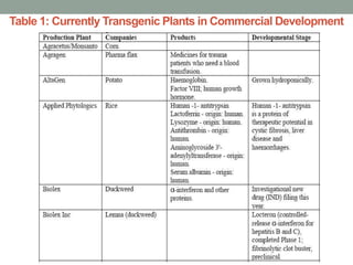 Table 1: Currently Transgenic Plants in Commercial Development
 