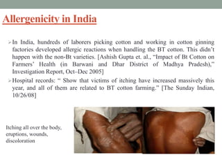 Allergenicity in India
In India, hundreds of laborers picking cotton and working in cotton ginning
factories developed allergic reactions when handling the BT cotton. This didn’t
happen with the non-Bt varieties. [Ashish Gupta et. al., “Impact of Bt Cotton on
Farmers’ Health (in Barwani and Dhar District of Madhya Pradesh),”
Investigation Report, Oct–Dec 2005]
Hospital records: “ Show that victims of itching have increased massively this
year, and all of them are related to BT cotton farming.” [The Sunday Indian,
10/26/08]
Itching all over the body,
eruptions, wounds,
discoloration
 
