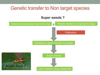 Herbicide resistance improved crop Weeds related to crop(Same Spp)
Resistance gene transfer to weeds
Super weeds
Can’t destroy using weedicide
Pollination
X
Genetic transfer to Non target species
Super weeds ?
Super Pest ?
 