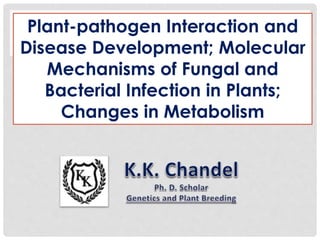 Plant-pathogen Interaction and
Disease Development; Molecular
Mechanisms of Fungal and
Bacterial Infection in Plants;
Changes in Metabolism
 