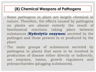 (B) Chemical Weapons of Pathogens
• Some pathogens in plant are largely chemical in
nature. Therefore, the effects caused by pathogens
on plants are almost entirely the result of
biochemical reactions taking place between
substances (Hydrolytic enzymes) secreted by the
pathogen and those present in or produced by the
plant.
• The main groups of substances secreted by
pathogens in plants that seem to be involved in
production of disease either directly or indirectly,
are enzymes, toxins, growth regulators and
polysaccharides (plugging substances).
 