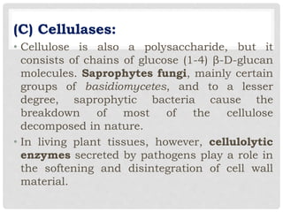 (C) Cellulases:
• Cellulose is also a polysaccharide, but it
consists of chains of glucose (1-4) β-D-glucan
molecules. Saprophytes fungi, mainly certain
groups of basidiomycetes, and to a lesser
degree, saprophytic bacteria cause the
breakdown of most of the cellulose
decomposed in nature.
• In living plant tissues, however, cellulolytic
enzymes secreted by pathogens play a role in
the softening and disintegration of cell wall
material.
 