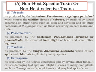 • (1) Tab-toxin:-
its produced by the bacterium Pseudomonas syringae pv tabaci
which causes the wildfire disease of tobacco, by strain of pv tabaci
occurring on other hosts such as bean and soybean and by other
pathovars of P. syringae such as those occurring on oats maize and
coffee.
• (2) Phaseolo-toxin:-
its produced by the bacterium Pseudomonas syringae pv
phaseolicola, the cause of halo blight of bean and some other
legumes.
• (3) Ten-toxin:-
its produced by the fungus Alternaria alternata which causes
spots and chlorosis in plants by many species.
• (4) Cercosporin-
its produced by the fungus Cercospora and by several other fungi. It
causes damaging leaf spot and blight diseases of many crop plants
such as Cercospora leaf spot of Zinnia and gray leaf spot of corn.
(A) Non-Host Specific Toxin Or
Non Host-selective Toxins
 