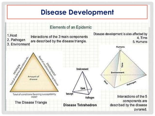 Disease Development
 