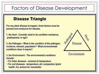 Factors of Disease Development
 