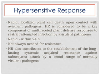 Hypersensitive Response
• Rapid, localized plant cell death upon contact with
avirulent pathogens. HR is considered to be a key
component of multifaceted plant defense responses to
restrict attempted infection by avirulent pathogens
• Rapid - within 24 h
• Not always needed for resistance
• HR also contributes to the establishment of the long-
lasting systemic acquired resistance against
subsequent attack by a broad range of normally
virulent pathogens
 