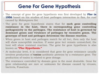 Gene For Gene Hypothesis
• The concept of gene for gene hypothesis was first developed by Flor in
1956 based on his studies of host pathogen interaction in flax, for rust
caused by Malampsora lini.
• The gene for gene hypothesis states that for each gene controlling
resistance in the host, there is corresponding gene controlling
pathogenicity in the pathogen. The resistance of host is governed by
dominant genes and virulence of pathogen by recessive genes. The
genotype of host and pathogen determine the disease reaction.
• When genes in host and pathogen match for all loci, then only the host
will show susceptible reaction. If some gene loci remain unmatched, the
host will show resistant reaction. The gene for gene hypothesis is also
known as “Flor Hypothesis.”
• At molecular level, it is considered that gene for gene resistance usually
involves production of toxins antibiotic proteins by a resistance gene. The
production of toxins is related to gene dosage.
• The resistance controlled by domain gene is the most desirable. Gene for
gene relationship are rare or unknown for disease caused by viruses,
bacteria, Fusarium.
 