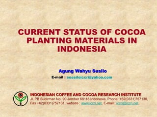 CURRENT STATUS OF COCOA
 PLANTING MATERIALS IN
      INDONESIA

                   Agung Wahyu Susilo
              E-mail : soesiloiccri@yahoo.com




  INDONESIAN COFFEE AND COCOA RESEARCH INSTITUTE
  Jl. PB Sudirman No. 90 Jember 68118 Indonesia, Phone: +62(0331)757130,
  Fax +62(0331)757131, website : www.iccri.net. E-mail : iccri@iccri.net.
 