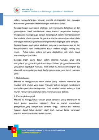 PPPPTK IPA
Direktorat Jenderal Guru dan Tenaga Kependidikan - Kemdikbud
KEGIATAN PEMBELAJARAN 1: SISTEM EKSRESI MANUSIA
KELOMPOK KOMPETENSI D
28
dalam mempertahankan tekanan osmotik ekstraseluler dan mengatur
konsentrasi garam serta keseimbangan asam-basa darah.
Sebagai bagian dari sistem ekskresi, kulit membuang kelebihan air dan
garam-garam hasil metabolisme tubuh melalui pengeluaran keringat.
Pengeluaran keringat juga sangat berpengaruh dalam mempertahankan
homeostatis tubuh manusia dengan membantu menurunkan suhu tubuh,
mencegah kelebihan garam dan mengendurkan tegangan saraf simpatis.
Sebagai bagian dari sistem ekskresi, paru-paru membuang uap air dan
karbondioksida hasil metabolisme tubuh melalui rongga hidung atau
mulut. Polusi udara, antara lain yang disebabkan oleh rokok, dapat
merusak organ paru-paru.
Sebagai organ utama dalam sistem ekskresi manusia, ginjal yang
mengalami gangguan fungsi akan mengakibatkan gangguan homeostatis
yang serius bagi tubuh manusia. Oleh sebab itu, telah dikembangkan dua
alternatif penanggulangan tidak berfungsinya ginjal pada tubuh manusia,
yaitu:
1. Dialisis buatan
Metode ini menggunakan mesin dialisis yang memiliki membran dan
muatan listrik khusus yang dapat "menarik" zat-zat sampah metabolisme
dari dalam pembuluh darah pasien. Cara ini relatif mudah walaupun tidak
murah, namun harus dilakukan terus menerus secara berkala.
2. Pencangkokan ginjal
Metode ini menggunakan sebuah ginjal pendonor yang ditanamkan ke
tubuh pasien penerima (resipien). Cara ini mahal, memerlukan
persyaratan yang banyak dan beresiko tinggi. Namun bila berhasil,
resipien dapat hidup dengan relatif lebih nyaman tanpa keharusan
melakukan cuci darah atau dialisis buatan.
 