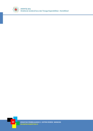 PPPPTK IPA
Direktorat Jenderal Guru dan Tenaga Kependidikan - Kemdikbud
KEGIATAN PEMBELAJARAN 1: SISTEM EKSRESI MANUSIA
KELOMPOK KOMPETENSI D
30
 