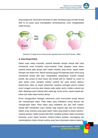 KEGIATAN PEMBELAJARAN 2 : ENZIM
KELOMPOK KOMPETENSI D
Modul Guru Pembelajar
Mata Pelajaran Biologi SMA
35
yang sangat erat. Kecocokan terinduksi ini akan membawa gugus kimiawi tempat
aktif itu ke posisi yang meningkatkan kemampuannya untuk mengakatalisis
reaksi kimiawi.
b. Cara Kerja Enzim
Dalam suatu reaksi enzimatik, substrat berkaitan dengan tempat aktif untuk
membentuk suatu kompleks enzim-substrat. Pada sebagian besar kasus,
substrat terikat pada tempat aktif melalui interaksi yang lemah, seperti ikatan
hidrogen dan ikatan ionik. Rantai samping (gugus R) beberapa asam amino yang
membentuk tempat aktif akan mengkatalisis pengubahan substrat menjadi
produk, dan produk itu akan keluar dari tempat aktif itu. Setelah itu, enzim itu
akan bebas untuk mengikat molekul substrat lain pada tempat aktifnya.
Keseluruhan siklus itu terjadi sedemikian cepatnya sehingga sebuah molekul
enzim tunggal umumnya akan bekerja pada sekitar seribu molekul substrat per
detik. Beberapa enzim bekerja lebih cepat lagi. Enzim-enzim, seperti katalis lain,
keluar dari reaksi dalam bentuk aslinya.
Enzim menggunakan berbagai mekanisme untuk menurunkan energi aktivasi
dan mempercepat reaksi. Pada reaksi yang melibatkan energi aktivasi dan
mempercepat reaksi. Pada reaksi yang melibatkan dua atau lebih reaktan,
tempat aktif memberikan suatu cekatan bagi substrat agar bisa ikut bersama
(dalam suatu orientasi yang tepat) dalam reaksi yang terjadi di antara substrat -
substrat tersebut. Ketika tempat aktif telah mengikat substrat melalui kecocokan
terinduksi, enzim dapat menekan molekul-molekul substrat, merenggang dan
membengkokan ikatan kimiawi penting yang harus diputuskan selama reaksi itu.
Substrat
Enzim
Sisi
aktif
Produk
Gambar 2.2. Kerja enzim menurut teori gembok dan kunci (Emil Fischer, 1894)
 