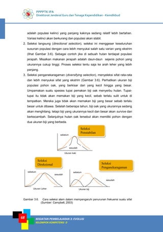 PPPPTK IPA
Direktorat Jenderal Guru dan Tenaga Kependidikan - Kemdikbud
KEGIATAN PEMBELAJARAN 3: EVOLUSI
KELOMPOK KOMPETENSI D
68
adalah populasi kelinci yang panjang kakinya sedang relatif lebih bertahan.
Variasi kelinci akan berkurang dan populasi akan stabil.
2. Seleksi langsung (directional selection), seleksi ini menggeser keseluruhan
susunan populasi dengan cara lebih menyukai salah satu varian yang ekstrim
(lihat Gambar 3.6). Sebagai contoh jika di sebuah hutan terdapat populasi
jerapah. Misalkan makanan jerapah adalah daun-daun sejenis pohon yang
ukurannya cukup tinggi. Proses seleksi tentu saja ke arah leher yang lebih
panjang.
3. Seleksi penganekaragaman (diversifying selection), menyeleksi sifat rata-rata
dan lebih menyukai sifat yang ekstrim (Gambar 3.6). Perhatikan ukuran biji
populasi pohon oak, yang berkisar dari yang kecil hingga yang besar.
Umpamakan suatu spesies tupai pemakan biji oak menyerbu hutan. Tupai-
tupai itu tidak akan memakan biji yang kecil, sebab terlalu sulit untuk di
tempatkan. Mereka juga tidak akan memakan biji yang besar sebab terlalu
besar untuk dibawa. Setelah beberapa tahun, biji oak yang ukurannya sedang
akan menghilang, tetapi biji yang ukurannya kecil dan besar akan survive dan
berkecambah. Selanjutnya hutan oak tersebut akan memiliki pohon dengan
dua ukuran biji yang berbeda.
Gambar 3.6. Cara seleksi alam dalam mempengaruhi penurunan frekuensi suatu sifat
(Sumber: Campbell, 2003)
Ukuran Leher Ukuran biji
sebelum
sesudah
sebelum
sesudah
Ukuran kaki
sebelum
sesudah
Seleksi
Penstabilan
Seleksi
Direksional Seleksi
Penganekaragaman
 