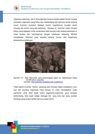 PPPPTK IPA
Direktorat Jenderal Guru dan Tenaga Kependidikan - Kemdikbud
KEGIATAN PEMBELAJARAN 3: EVOLUSI
KELOMPOK KOMPETENSI D
72
organisme sekarang. Hal ini dimungkinkan karena mereka adalah nenek moyang
(ancestor) organisme yang hidup atau berkembang dari seorang nenek moyang
umum (common ancestor). Sebagai contoh, megatherium mungkin nenek
moyang dari pohon yang ada sekarang. Dewasa ini, fosil-fosil masih menjadi
bahan yang dipelajari untuk menemukan lebih banyak bukti tentang kehidupan di
masa lampau dan hubungannya dengan kehidupan sekarang. Mereka
menjelaskan informasi yang tersedia tentang evolusi dan bagaimana
terbentuknya kehidupan.
Gambar 3.7. Bayi Mammoth yang terperangkap dalam es, diperkirakan hidup
22.000 tahun yang lalu.
(sumber: http://evolution.berkeley.edu/ evolibrary/)
Tidak seperti di jaman Darwin, sekarang para ilmuwan dapat mengetahui umur
fosil dan sisa-sisa organisme masa lampau ini untuk mendapatkan suatu
gambaran yang lebih tepat ketika organisme-organisme yang berbeda
berkembang. Kita masih belajar berbagai hal yang baru dari suatu sumber
berharga yang secara harfiah berumur jutaan tahun.
 