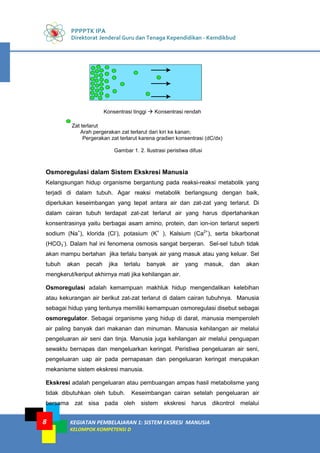 PPPPTK IPA
Direktorat Jenderal Guru dan Tenaga Kependidikan - Kemdikbud
KEGIATAN PEMBELAJARAN 1: SISTEM EKSRESI MANUSIA
KELOMPOK KOMPETENSI D
8
Konsentrasi tinggi  Konsentrasi rendah
Zat terlarut
Arah pergerakan zat terlarut dari kiri ke kanan;
Pergerakan zat terlarut karena gradien konsentrasi (dC/dx)
Gambar 1. 2. Ilustrasi peristiwa difusi
Osmoregulasi dalam Sistem Ekskresi Manusia
Kelangsungan hidup organisme bergantung pada reaksi-reaksi metabolik yang
terjadi di dalam tubuh. Agar reaksi metabolik berlangsung dengan baik,
diperlukan keseimbangan yang tepat antara air dan zat-zat yang terlarut. Di
dalam cairan tubuh terdapat zat-zat terlarut air yang harus dipertahankan
konsentrasinya yaitu berbagai asam amino, protein, dan ion-ion terlarut seperti
sodium (Na+
), klorida (Cl-
), potasium (K+
), Kalsium (Ca2+
), serta bikarbonat
(HCO3
-
). Dalam hal ini fenomena osmosis sangat berperan. Sel-sel tubuh tidak
akan mampu bertahan jika terlalu banyak air yang masuk atau yang keluar. Sel
tubuh akan pecah jika terlalu banyak air yang masuk, dan akan
mengkerut/keriput akhirnya mati jika kehilangan air.
Osmoregulasi adalah kemampuan makhluk hidup mengendalikan kelebihan
atau kekurangan air berikut zat-zat terlarut di dalam cairan tubuhnya. Manusia
sebagai hidup yang tentunya memiliki kemampuan osmoregulasi disebut sebagai
osmoregulator. Sebagai organisme yang hidup di darat, manusia memperoleh
air paling banyak dari makanan dan minuman. Manusia kehilangan air melalui
pengeluaran air seni dan tinja. Manusia juga kehilangan air melalui penguapan
sewaktu bernapas dan mengeluarkan keringat. Peristiwa pengeluaran air seni,
pengeluaran uap air pada pernapasan dan pengeluaran keringat merupakan
mekanisme sistem ekskresi manusia.
Ekskresi adalah pengeluaran atau pembuangan ampas hasil metabolisme yang
tidak dibutuhkan oleh tubuh. Keseimbangan cairan setelah pengeluaran air
bersama zat sisa pada oleh sistem ekskresi harus dikontrol melalui
 