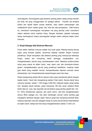 Modul Guru Pembelajar
Mata Pelajaran Biologi SMA
KEGIATAN PEMBELAJARAN 1: SISTEM EKSRESI MANUSIA
MOKELOMPOK KOMPETENSI D
9
osmoregulasi. Osmoregulasi juga berperan penting dalam setiap proses transfer
zat antar sel yang menggunakan air sebagai pelarut. Transfer zat tersebut
antara lain terjadi dalam proses ekskresi, yaitu sistem pembuangan sisa
metabolisme tubuh melalui ginjal, hati, kulit dan alat pernapasan. Oleh karena
itu, memahami osmoregulasi merupakan hal yang penting untuk memahami
sistem ekskresi tubuh makhluk hidup. Dengan demikian, jelaslah hubungan
saling memengaruhi antara osmoregulasi dengan sistem ekskresi dalam tubuh
manusia.
2. Ginjal Sebagai Alat Ekskresi Manusia
Pusat sistem ekskresi manusia adalah dua buah ginjal. Masing-masing berupa
organ yang kompak (padat), ukurannya sebesar kepalan tangan manusia
pemiliknya. Ginjal merupakan alat ekskresi penting yang mempunyai beberapa
fungsi, antara lain menyaring darah sehingga menghasilkan urin;
mengekskresikan zat-zat yang membahayakan tubuh. Misalnya protein-protein
asing yang masuk ke dalam tubuh, urea, asam urat, dan bermacam-macam
garam; mengekskresikan zat-zat yang jumlahnya berlebihan, misalnya kadar
gula darah yang melebihi normal; mempertahankan tekanan osmosis cairan
ekstraseluler; dan mempertahankan keseimbangan asam dan basa.
Ginjal mengandung sekitar 80 km saluran halus yang membentuk jalinan dengan
kapiler darah. Tubuh kita mengandung sekitar 5 liter darah. Karena darah terus
menerus beredar, sekitar 1.100 hingga 2.000 liter melewati kapiler ginjal setiap
hari. Sewaktu darah beredar, ginjal menyaring 180 liter cairan (disebut filtrat)
terdiri atas air, urea, dan sejumlah zat-zat terlarut yang penting seperti Na+
, Ka+
,
Cl-
, HCO3 (bikarbonat), glukosa, dan asam amino. Jika kita mengekskresikan
semua filtrat sebagai urin, kita akan kehilangan zat-zat nutrisi penting juga
mengalami dehidrasi dengan cepat. Namun ginjal kita menyaring kembali filtrat,
hasilnya sejumlah urea dan sebagian besar air serta zat-zat terlarut dikembalikan
ke dalam darah. Setiap hari kita hanya mengekskresikan sekitar 1,5 liter urin.
 