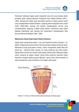 Modul Guru Pembelajar
Mata Pelajaran Biologi SMA
KEGIATAN PEMBELAJARAN 1: SISTEM EKSRESI MANUSIA
MOKELOMPOK KOMPETENSI D
11
Penamaan beberapa bagian ginjal mengambil nama ahli yang berjasa dalam
penelitian ginjal. Kapsula Bowman mengambil nama William Bowman (l816 –
1892). Seorang ahli bedah yang merupakan perintis di bidang saluran kemih
yang mengidentifikasi kapsula tersebut. Lengkung Henle mengambil nama Jacob
Henle (1809-1885), seorang ahli anatomi berkebangsaan Jerman yang
mendeskripsikan lengkung di dalam ginjal tersebut. Glomerulus pada badan
Malphigi diidentifikasi oleh seorang ahli mikroanatomi berkebangsaan ltalia
bernama Marcerllo Malpighi (1628 - 1694).
Mekanisme Kerja Ginjal dalam Sistem Ekskresi
Setiap ginjal mengandung sekitar 1 juta unit fungsional (nefron) (Gambar 1.4.).
Nefron mengandung saluran-saluran dan berhubungan dengan pembuluh darah.
Membentuk fungsi ginjal dalam miniatur, nefron mengekstrak sedikit filtrat dari
darah dan menyaring filtrat menjadi urin yang jumlahnya jauh lebih sedikit.
Setiap nefron dimulai dan berakhir pada bagian korteks ginjal. Beberapa bagian
nefron menjorok ke bagian medula. Ujung nefron penerima pembuluh darah
berbentuk mangkuk disebut kapsula Bowman. Ujung nefron lainnya berakhir di
saluran pengumpul, yang membawa urin ke bagian pelvis ginjal.
Gambar 1.4. Satu unit nefron tampak pada penampang membujur ginjal
Badan Malphigi
 
