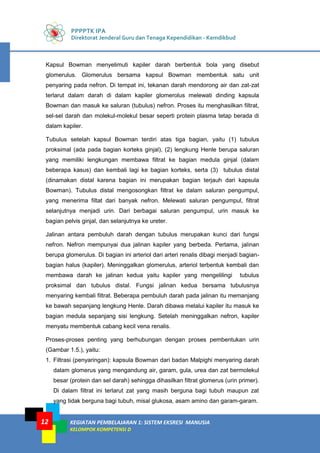 PPPPTK IPA
Direktorat Jenderal Guru dan Tenaga Kependidikan - Kemdikbud
KEGIATAN PEMBELAJARAN 1: SISTEM EKSRESI MANUSIA
KELOMPOK KOMPETENSI D
12
Kapsul Bowman menyelimuti kapiler darah berbentuk bola yang disebut
glomerulus. Glomerulus bersama kapsul Bowman membentuk satu unit
penyaring pada nefron. Di tempat ini, tekanan darah mendorong air dan zat-zat
terlarut dalam darah di dalam kapiler glomerolus melewati dinding kapsula
Bowman dan masuk ke saluran (tubulus) nefron. Proses itu menghasilkan filtrat,
sel-sel darah dan molekul-molekul besar seperti protein plasma tetap berada di
dalam kapiler.
Tubulus setelah kapsul Bowman terdiri atas tiga bagian, yaitu (1) tubulus
proksimal (ada pada bagian korteks ginjal), (2) lengkung Henle berupa saluran
yang memiliki lengkungan membawa filtrat ke bagian medula ginjal (dalam
beberapa kasus) dan kembali lagi ke bagian korteks, serta (3) tubulus distal
(dinamakan distal karena bagian ini merupakan bagian terjauh dari kapsula
Bowman). Tubulus distal mengosongkan filtrat ke dalam saluran pengumpul,
yang menerima filtat dari banyak nefron. Melewati saluran pengumpul, filtrat
selanjutnya menjadi urin. Dari berbagai saluran pengumpul, urin masuk ke
bagian pelvis ginjal, dan selanjutnya ke ureter.
Jalinan antara pembuluh darah dengan tubulus merupakan kunci dari fungsi
nefron. Nefron mempunyai dua jalinan kapiler yang berbeda. Pertama, jalinan
berupa glomerulus. Di bagian ini arteriol dari arteri renalis dibagi menjadi bagian-
bagian halus (kapiler). Meninggalkan glomerulus, arteriol terbentuk kembali dan
membawa darah ke jalinan kedua yaitu kapiler yang mengelilingi tubulus
proksimal dan tubulus distal. Fungsi jalinan kedua bersama tubulusnya
menyaring kembali filtrat. Beberapa pembuluh darah pada jalinan itu memanjang
ke bawah sepanjang lengkung Henle. Darah dibawa melalui kapiler itu masuk ke
bagian medula sepanjang sisi lengkung. Setelah meninggalkan nefron, kapiler
menyatu membentuk cabang kecil vena renalis.
Proses-proses penting yang berhubungan dengan proses pembentukan urin
(Gambar 1.5.), yaitu:
1. Filtrasi (penyaringan): kapsula Bowman dari badan Malpighi menyaring darah
dalam glomerus yang mengandung air, garam, gula, urea dan zat bermolekul
besar (protein dan sel darah) sehingga dihasilkan filtrat glomerus (urin primer).
Di dalam filtrat ini terlarut zat yang masih berguna bagi tubuh maupun zat
yang tidak berguna bagi tubuh, misal glukosa, asam amino dan garam-garam.
 