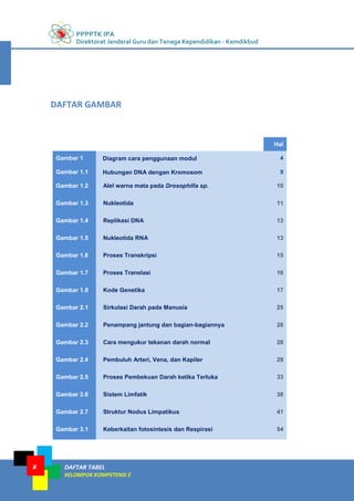 PPPPTK IPA
Direktorat Jenderal Guru dan Tenaga Kependidikan - Kemdikbud
DAFTAR TABEL
KELOMPOK KOMPETENSI E
x
Hal
Gambar 1 Diagram cara penggunaan modul 4
Gambar 1.1 Hubungan DNA dengan Kromosom 9
Gambar 1.2 Alel warna mata pada Drosophilla sp. 10
Gambar 1.3 Nukleotida 11
Gambar 1.4 Replikasi DNA 13
Gambar 1.5 Nukleotida RNA 13
Gambar 1.6 Proses Transkripsi 15
Gambar 1.7 Proses Translasi 16
Gambar 1.8 Kode Genetika 17
Gambar 2.1 Sirkulasi Darah pada Manusia 25
Gambar 2.2 Penampang jantung dan bagian-bagiannya 26
Gambar 2.3 Cara mengukur tekanan darah normal 28
Gambar 2.4 Pembuluh Arteri, Vena, dan Kapiler 29
Gambar 2.5 Proses Pembekuan Darah ketika Terluka 33
Gambar 2.6 Sistem Limfatik 38
Gambar 2.7 Struktur Nodus Limpatikus 41
Gambar 3.1 Keberkaitan fotosintesis dan Respirasi 54
DAFTAR GAMBAR
 