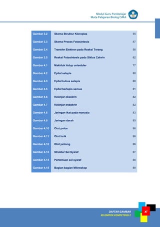 LISTRIK untuk SMP
DAFTAR GAMBAR
KELOMPOK KOMPETENSI E
xi
Modul Guru Pembelajar
Mata Pelajaran Biologi SMA
Gambar 3.2 Skema Struktur Kloroplas 55
Gambar 3.3 Skema Proses Fotosintesis 57
Gambar 3.4 Transfer Elektron pada Reaksi Terang 58
Gambar 3.5 Reaksi Fotosintesis pada Siklus Cakvin 62
Gambar 4.1 Makhluk hidup uniseluler 77
Gambar 4.2 Epitel selapis 80
Gambar 4.3 Epitel kubus selapis 80
Gambar 4.5 Epitel berlapis semua 81
Gambar 4.6 Kelenjar eksokrin 82
Gambar 4.7 Kelenjar endokrin 82
Gambar 4.8 Jaringan ikat pada manusia 83
Gambar 4.9 Jaringan darah 85
Gambar 4.10 Otot polos 86
Gambar 4.11 Otot lurik 86
Gambar 4.12 Otot jantung 86
Gambar 4.13 Struktur Sel Syaraf 87
Gambar 4.14 Pertemuan sel syaraf 88
Gambar 4.15 Bagian-bagian Mikroskop 89
 