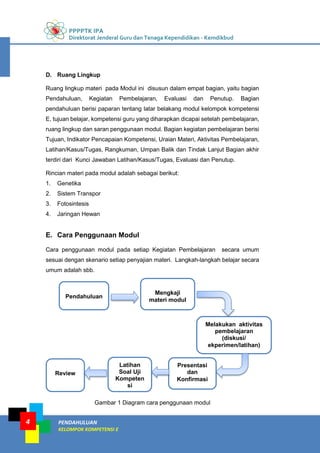 PPPPTK IPA
Direktorat Jenderal Guru dan Tenaga Kependidikan - Kemdikbud
PENDAHULUAN
KELOMPOK KOMPETENSI E
4
D. Ruang Lingkup
Ruang lingkup materi pada Modul ini disusun dalam empat bagian, yaitu bagian
Pendahuluan, Kegiatan Pembelajaran, Evaluasi dan Penutup. Bagian
pendahuluan berisi paparan tentang latar belakang modul kelompok kompetensi
E, tujuan belajar, kompetensi guru yang diharapkan dicapai setelah pembelajaran,
ruang lingkup dan saran penggunaan modul. Bagian kegiatan pembelajaran berisi
Tujuan, Indikator Pencapaian Kompetensi, Uraian Materi, Aktivitas Pembelajaran,
Latihan/Kasus/Tugas, Rangkuman, Umpan Balik dan Tindak Lanjut Bagian akhir
terdiri dari Kunci Jawaban Latihan/Kasus/Tugas, Evaluasi dan Penutup.
Rincian materi pada modul adalah sebagai berikut:
1. Genetika
2. Sistem Transpor
3. Fotosintesis
4. Jaringan Hewan
E. Cara Penggunaan Modul
Cara penggunaan modul pada setiap Kegiatan Pembelajaran secara umum
sesuai dengan skenario setiap penyajian materi. Langkah-langkah belajar secara
umum adalah sbb.
Gambar 1 Diagram cara penggunaan modul
Pendahuluan
Review
Mengkaji
materi modul
Melakukan aktivitas
pembelajaran
(diskusi/
ekperimen/latihan)
Presentasi
dan
Konfirmasi
Latihan
Soal Uji
Kompeten
si
 