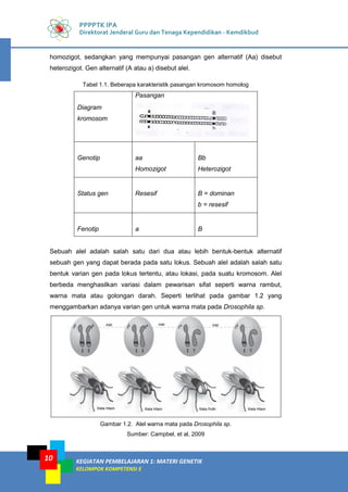 KEGIATAN PEMBELAJARAN 1: MATERI GENETIK
KELOMPOK KOMPETENSI E
10
PPPPTK IPA
Direktorat Jenderal Guru dan Tenaga Kependidikan - Kemdikbud
homozigot, sedangkan yang mempunyai pasangan gen alternatif (Aa) disebut
heterozigot. Gen alternatif (A atau a) disebut alel.
Tabel 1.1. Beberapa karakteristik pasangan kromosom homolog
Diagram
kromosom
Pasangan
Genotip aa
Homozigot
Bb
Heterozigot
Status gen Resesif B = dominan
b = resesif
Fenotip a B
Sebuah alel adalah salah satu dari dua atau lebih bentuk-bentuk alternatif
sebuah gen yang dapat berada pada satu lokus. Sebuah alel adalah salah satu
bentuk varian gen pada lokus tertentu, atau lokasi, pada suatu kromosom. Alel
berbeda menghasilkan variasi dalam pewarisan sifat seperti warna rambut,
warna mata atau golongan darah. Seperti terlihat pada gambar 1.2 yang
menggambarkan adanya varian gen untuk warna mata pada Drosophila sp.
Gambar 1.2. Alel warna mata pada Drosophila sp.
Sumber: Campbel, et al, 2009
 