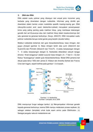 KEGIATAN PEMBELAJARAN: MEDIA PEMBELAJARAN
KELOMPOK KOMPETENSI E
MODUL I
Modul Guru Pembelajar
Mata Pelajaran Biologi SMA
11
2. DNA dan RNA
DNA adalah suatu polimer yang dibangun dari empat jenis monomer yang
berbeda yang dinamakan dengan nukleotida. Informasi yang dimiliki gen
diwariskan dalam bentuk urutan nukelotida spesifik masing-masing gen. DNA
(deoxyribo-nucleic acid, asam deoksiribo-nukleat) merupakan persenyawaan
kimia yang paling penting pada makhluk hidup, yang membawa keterangan
genetik dari sel khususnya atau dari makhluk hidup dalam keseluruhannya dari
satu generasi ke generasi berikutnya. (Suryo, 2004:57). DNA merupakan suatu
polimer nukleotida berupa rantai ganda yang berpilin (double heliks).
Molekul nukleotida terbentuk dari gula ribosa/deoksiribosa, basa nitrogen, dan
gugus phospat (gambar 3). Basa nitrogen terdiri atas purin (Adenin/A dan
Guanin/G) dan Pirimidin (Sitosin/C dan Timin/T). A selalu berpasangan dengan
T, C selalu berpasangan dengan G. Nukleotida diibaratkan sebuah tangga
dimana: “Anak tangganya” adalah susunan basa nitrogen ( A – T dan C – G) dan
Kedua “ibutangganya” adalah gula ribose/deoksiribosa. Model DNA pertama kali
dibuat pada tahun 1953 oleh James D. Watson dari Amerika Serikat dan Francis
Crick dari Inggris, seperti terlihat pada gambar 1.3 di bawah.
Gambar 1.3. Nukleotida
Sumber: Campbel, et al, 2009
DNA mempunyai fungsi sebagai berikut: (a) Menyampaikan informasi genetik
kepada generasi berikutnya, karena DNA mampu melakukan proses replikasi. (b)
sebagai cetakan (template) untuk kode asam amino pada DNA/kodon. (c)
Sebagai pengatur seluruh metabolisme sel.
 