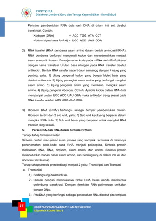 KEGIATAN PEMBELAJARAN 1: MATERI GENETIK
KELOMPOK KOMPETENSI E
14
PPPPTK IPA
Direktorat Jenderal Guru dan Tenaga Kependidikan - Kemdikbud
Peristiwa pembentukan RNA duta oleh DNA di dalam inti sel, disebut
transkripsi. Contoh:
Kodogen (DNA) = ACG TGG ATA CCT
Kodon (triplet basa RNA d) = UGC ACC UAU GGA
2) RNA transfer (RNA pembawa asam amino dalam bentuk aminoasil tRNA).
RNA pembawa berfungsi mengenali kodon dan menerjemahkan menjadi
asam amino di ribosom. Penerjemahan kode pada mRNA oleh tRNA dikenal
dengan nama translasi. Urutan basa nitrogen pada RNA transfer disebut
antikodon. Bentuk RNA transfer seperti daun semanggi dengan 4 ujung yang
penting, yaitu: 1) Ujung pengenal kodon yang berupa triplet basa yang
disebut antikodon. 2) Ujung perangkai asam amino yang berfungsi mengikat
asam amino. 3) Ujung pengenal enzim yang membantu mengikat asam
amino. 4) Ujung pengenal ribosom. Contoh: Apabila kodon dalam RNA duta
mempunyai urutan UGC ACC UAU GGA maka antikodon yang sesuai pada
RNA transfer adalah ACG UGG AUA CCU.
3) Ribosom RNA (RNAr) berfungsi sebagai tempat pembentukan protein.
Ribosom terdiri dari 2 sub unit, yaitu: 1) Sub unit kecil yang berperan dalam
mengikat RNA duta. 2) Sub unit besar yang berperan untuk mengikat RNA
transfer yang sesuai.
5. Peran DNA dan RNA dalam Sintesis Protein
Tahap-Tahap Sintesis Protein
Sintesis protein merupakan suatu proses yang komplek, termasuk di dalamnya
penerjemahan kode-kode pada RNA menjadi polipeptida. Sintesis protein
melibatkan DNA, RNA, ribosom, asam amino, dan enzim. Sintesis protein
membutuhkan bahan dasar asam amino, dan berlangsung di dalam inti sel dan
ribosom (sitoplasma).
Tahap-tahap sintesis protein dibagi menjadi 2 yaitu: Transkripsi dan Translasi
a. Transkripsi
1) Berlangsung dalam inti sel.
2) Dimulai dengan membukanya rantai DNA heliks ganda membentuk
gelembung transkripsi. Dengan demikian RNA polimerase berikatan
dengan DNA.
3) Pita DNA yang berfungsi sebagai pencetakan RNA disebut pita template
 