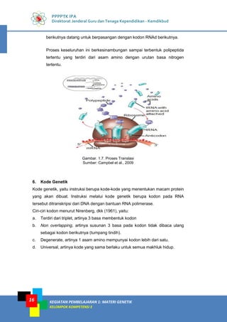 KEGIATAN PEMBELAJARAN 1: MATERI GENETIK
KELOMPOK KOMPETENSI E
16
PPPPTK IPA
Direktorat Jenderal Guru dan Tenaga Kependidikan - Kemdikbud
berikutnya datang untuk berpasangan dengan kodon RNAd berikutnya.
Proses keseluruhan ini berkesinambungan sampai terbentuk polipeptida
tertentu yang terdiri dari asam amino dengan urutan basa nitrogen
tertentu.
Gambar. 1.7. Proses Translasi
Sumber: Campbel et al., 2009
6. Kode Genetik
Kode genetik, yaitu instruksi berupa kode-kode yang menentukan macam protein
yang akan dibuat. Instruksi melalui kode genetik berupa kodon pada RNA
tersebut ditranskripsi dari DNA dengan bantuan RNA polimerase.
Ciri-ciri kodon menurut Nirenberg, dkk (1961), yaitu:
a. Terdiri dari triplet, artinya 3 basa membentuk kodon
b. Non overlapping, artinya susunan 3 basa pada kodon tidak dibaca ulang
sebagai kodon berikutnya (tumpang tindih).
c. Degenerate, artinya 1 asam amino mempunyai kodon lebih dari satu.
d. Universal, artinya kode yang sama berlaku untuk semua makhluk hidup.
 