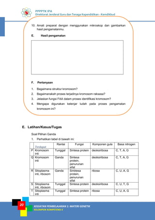 KEGIATAN PEMBELAJARAN 1: MATERI GENETIK
KELOMPOK KOMPETENSI E
20
PPPPTK IPA
Direktorat Jenderal Guru dan Tenaga Kependidikan - Kemdikbud
10. Amati preparat dengan menggunakan mikroskop dan gambarkan
hasil pengamatanmu.
E. Hasil pengamatan
F. Pertanyaan
1. Bagaimana struktur kromosom?
2. Bagaimanakah proses terjadinya kromosom raksasa?
3. Jelaskan fungsi FAA dalam proses identifikasi kromosom?
4. Mengapa digunakan kelenjar ludah pada proses pengamatan
kromosom ini?
E. Latihan/Kasus/Tugas
Soal Pilihan Ganda
1. Perhatikan tabel di bawah ini:
Terdapat
Rantai Fungsi Komponen gula Basa nitrogen
P Kromosom
inti
Tunggal Sintesa protein deoksiribosa C, T, A, G
Q Kromosom
inti
Ganda Sintesa
protein,
penurunan
sifat
deoksiribosa C, T, A, G
R Sitoplasma
inti, ribosom
Ganda Sinbtesa
protein,
penurunan
sifat
ribosa C, U, A, G
S Sitoplasma
inti, ribosom
Tunggal Sintesa protein deoksiribosa C, U, T, G
T Sitoplasma
inti
Tunggal Sintesa protein ribosa C, U, A, G
 