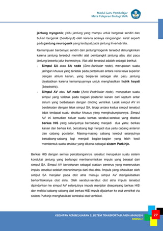 KEGIATAN PEMBELAJARAN 2: SISTEM TRANSPORTASI PADA MANUSIA
MODUL E
Modul Guru Pembelajar
Mata Pelajaran Biologi SMA
27
jantung myogenik; yaitu jantung yang mampu untuk bergerak sendiri dan
bukan bergerak (berdenyut) oleh karena adanya rangsangan saraf seperti
pada jantung neurogenik yang terdapat pada jantung Invertebrata.
Kemampuan berdenyut sendiri dari jantungmiogenik tersebut dimungkinkan
karena jantung tersebut memiliki alat pembangkit jantung atau alat pacu
jantung beserta jalur tranmisinya. Alat-alat tersebut adalah sebagai berikut:
- Simpul SA atau SA node (Sino-Auricular node), merupakan suatu
jaringan khusus yang terletak pada pertemuan antara vena kava superior
dengan atrium kanan, yang berperan sebagai alat pacu jantung
disebabkan karena kemampuannya untuk menghasilkan listrik hayati
(bioelectric).
- Simpul AV atau AV node (Atrio-Ventricular node), merupakan suatu
simpul yang terletak pada bagian posterior kanan dari septum antar
atrium yang berbatasan dengan dinding ventrikel. Letak simpul AV ini
berdekatan dengan letak simpul SA, tetapi antara kedua simpul tersebut
tidak terdapat suatu struktur khusus yang menghubungkannya. Simpul
AV ini kemudian keluar suatu berkas serabut-serabut yang disebut
berkas HIS yang selanjutnya bercabang menjadi dua yaitu: berkas
kanan dan berkas kiri, bercabang lagi menjadi dua yaitu cabang anterior
dan cabang posterior. Masing-masing cabang terebut selanjutnya
bercabang-cabang lagi menjadi bagian-bagian yang lebih kecil
membentuk suatu struktur yang dikenal sebagai sistem Purkinje.
Berkas HIS dengan semua percabangannya tersebut merupakan suatu sistem
konduksi jantung yang berfungsi mentransmisikan impuls yang berasal dari
simpul SA. Simpul AV berperanan sebagai stasiun penerus yang meneruskan
impuls tersebut setelah menerimanya dari otot atria. Impuls yang dihasilkan oleh
simpul SA menjalar pada otot atria menuju simpul AV mengakibatkan
berkontraksinya otot atria. Oleh serabut-serabut otot atria impuls tersebut
dipindahkan ke simpul AV selanjutnya impuls menjalar disepanjang berkas HIS
dan melalui cabang-cabang dari berkas HIS impuls dijalarkan ke otot ventrikel via
sistem Purkinje menghasilkan kontraksi otot ventrikel.
 